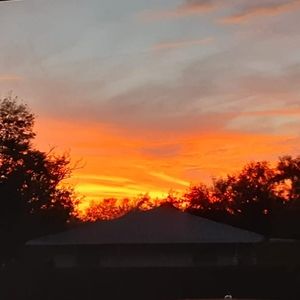 Meet your Posher, Angelita